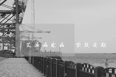 艾滋病发病 贷款逾期
